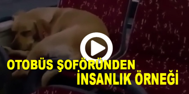 İstanbul’da otobüs şoföründen insanlık örneği